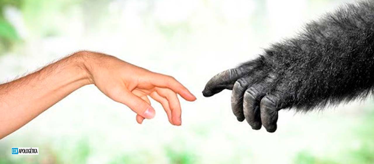 Teoría de la Evolución