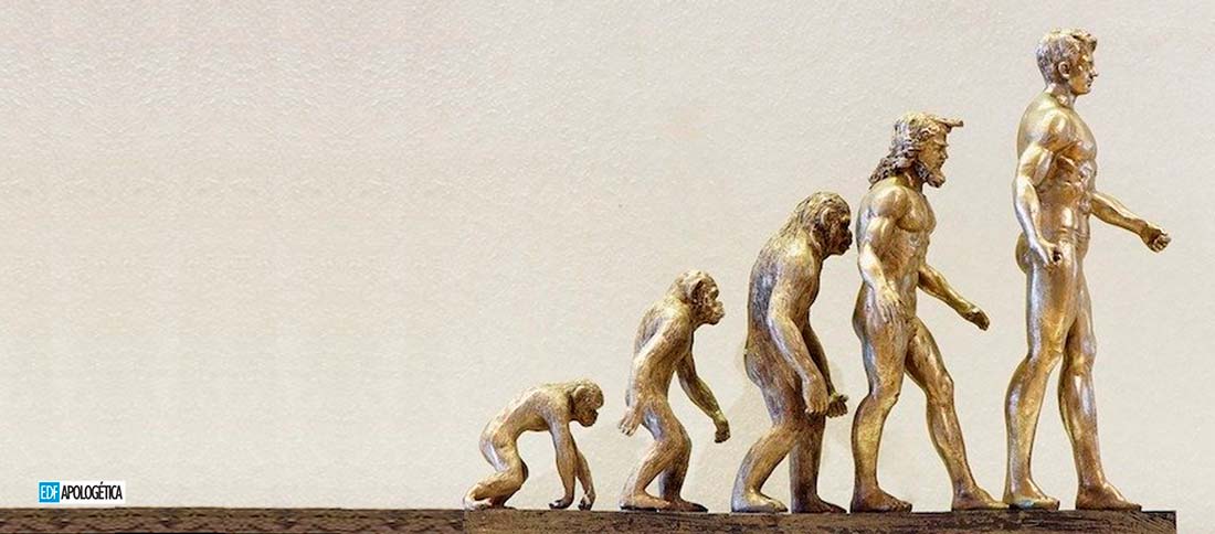 Teoría de la Evolución